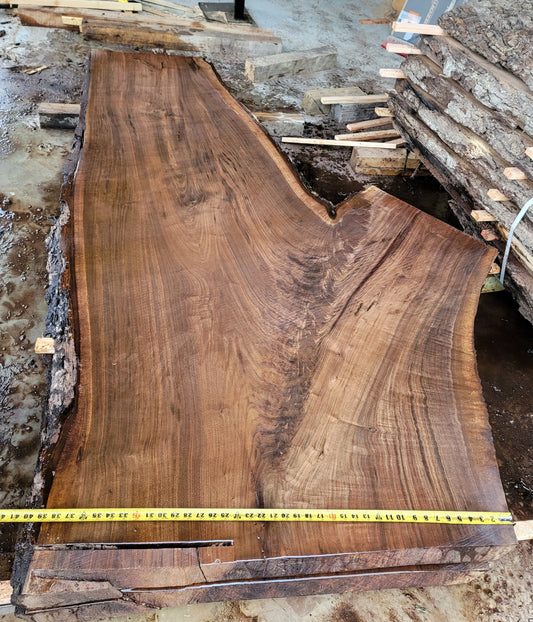 Large Walnut crotch #8